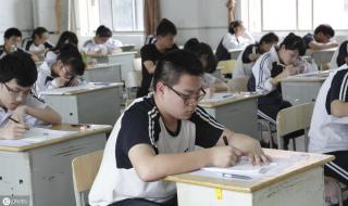 山东潍坊中考成绩查询 山东潍坊中考成绩查询
