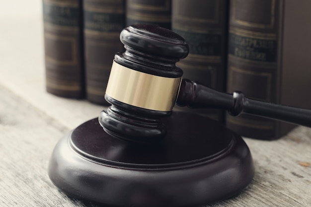 黑色沙漠有头熊的职业是什么 黑色沙漠手游职业推荐